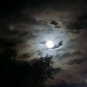 Meet your Posher, Lissette